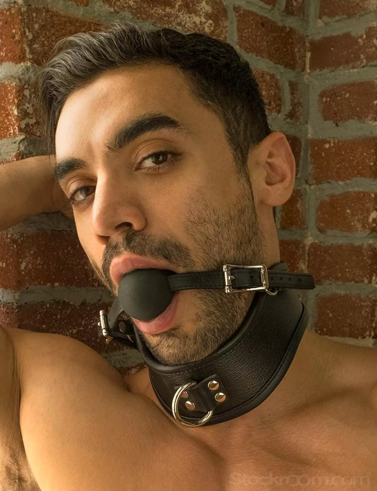 Store Sally's Toy Posture Collar with Silicone Ball Gag- Small